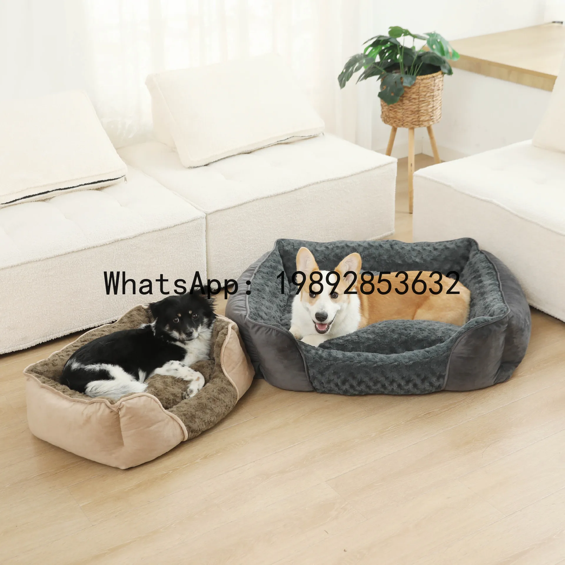 Pet X Supplies & Tack Howell Photos - Домик для кошек X, полузакрытая будка