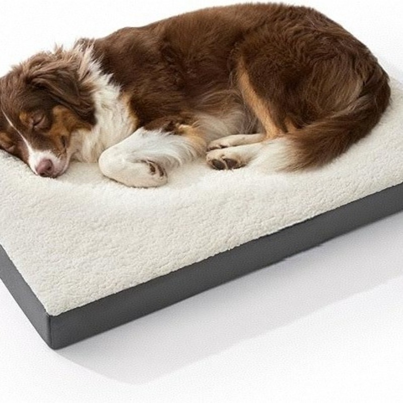 Pet Supplies Dropshipping - Съемная моющаяся лежанка для собак и