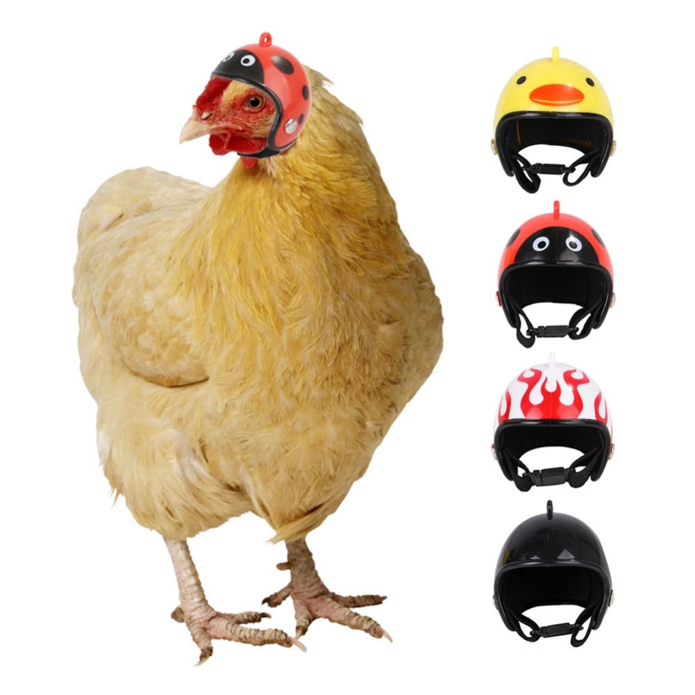 Pet X Supplies & Tack Howell Photos - Забавная защитная шапка для домашних животных