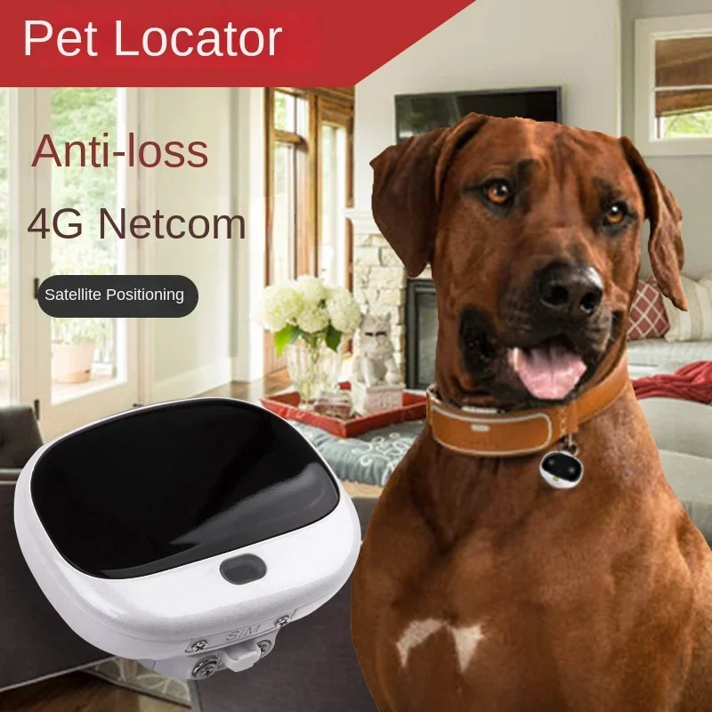 Pet Supplies Locations - Миниатюрный GPS-трекер для собак 4G LTE