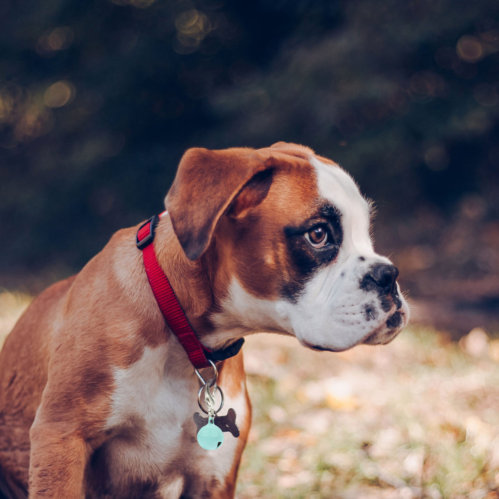 10 шт. колокольчиков для ошейн – обзор и цена Pet Supplies Locations