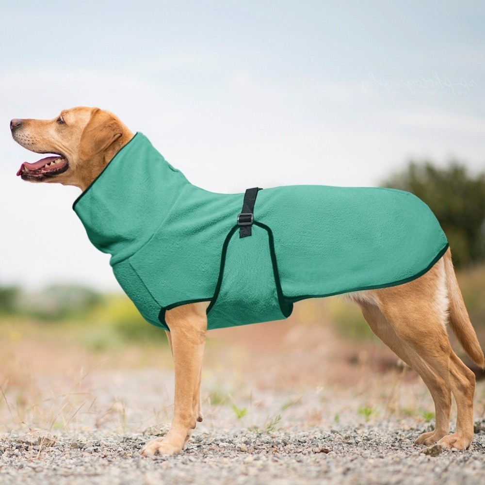 Сплошной цвет, теплая зимняя о – обзор и цена Dog Anxiety Vest