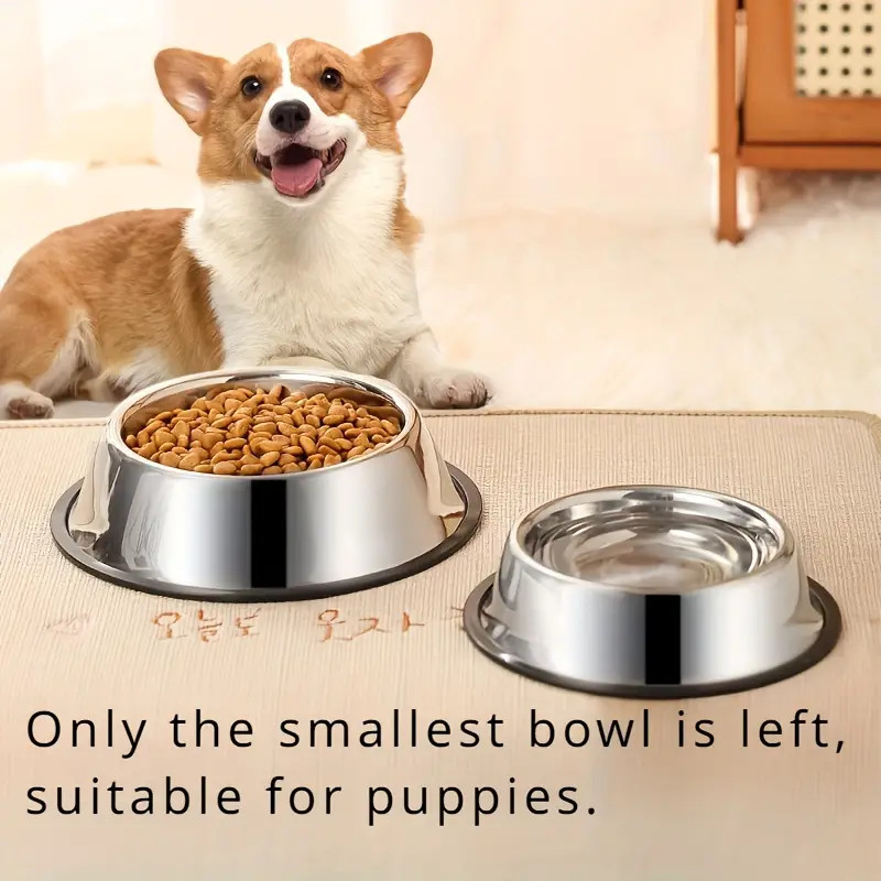 Нескользящая миска для собак и – обзор и цена Pet Supplies Dropshipping