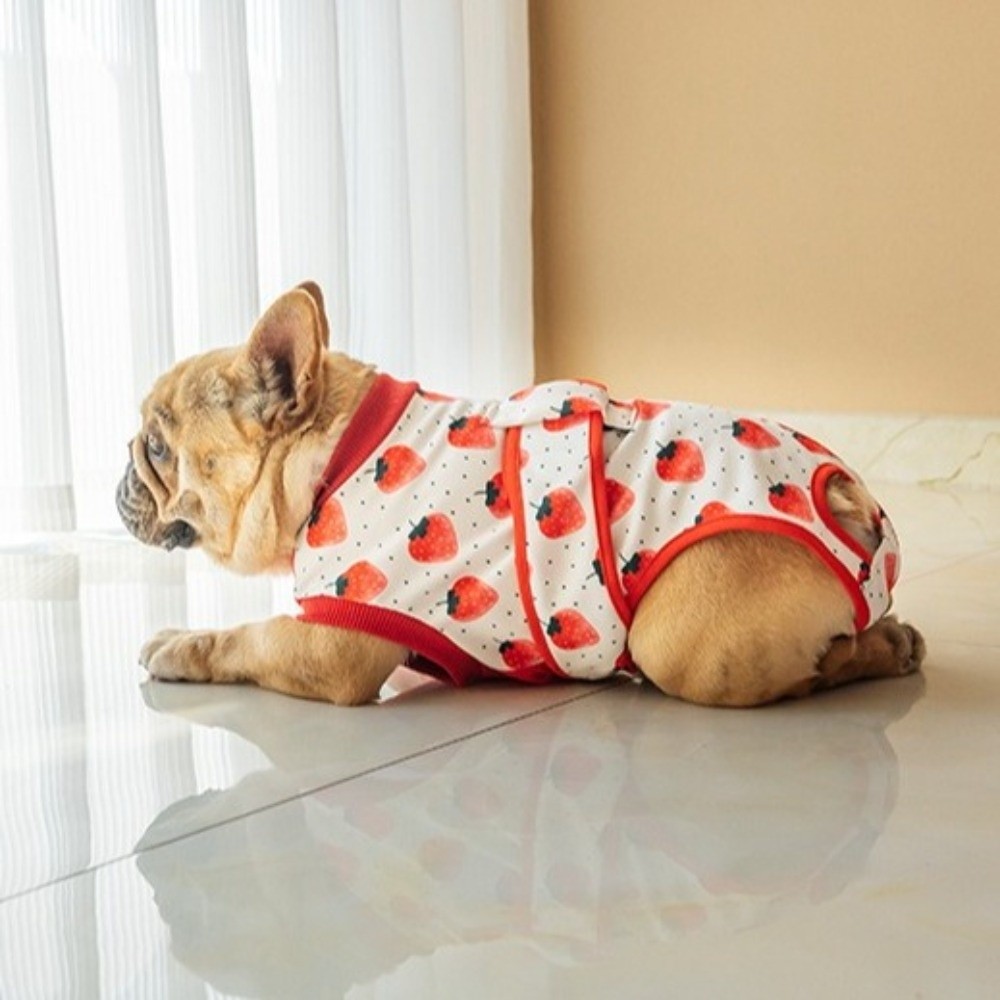 Универсальный дышащий костюм д – обзор и цена Dog Anxiety Vest