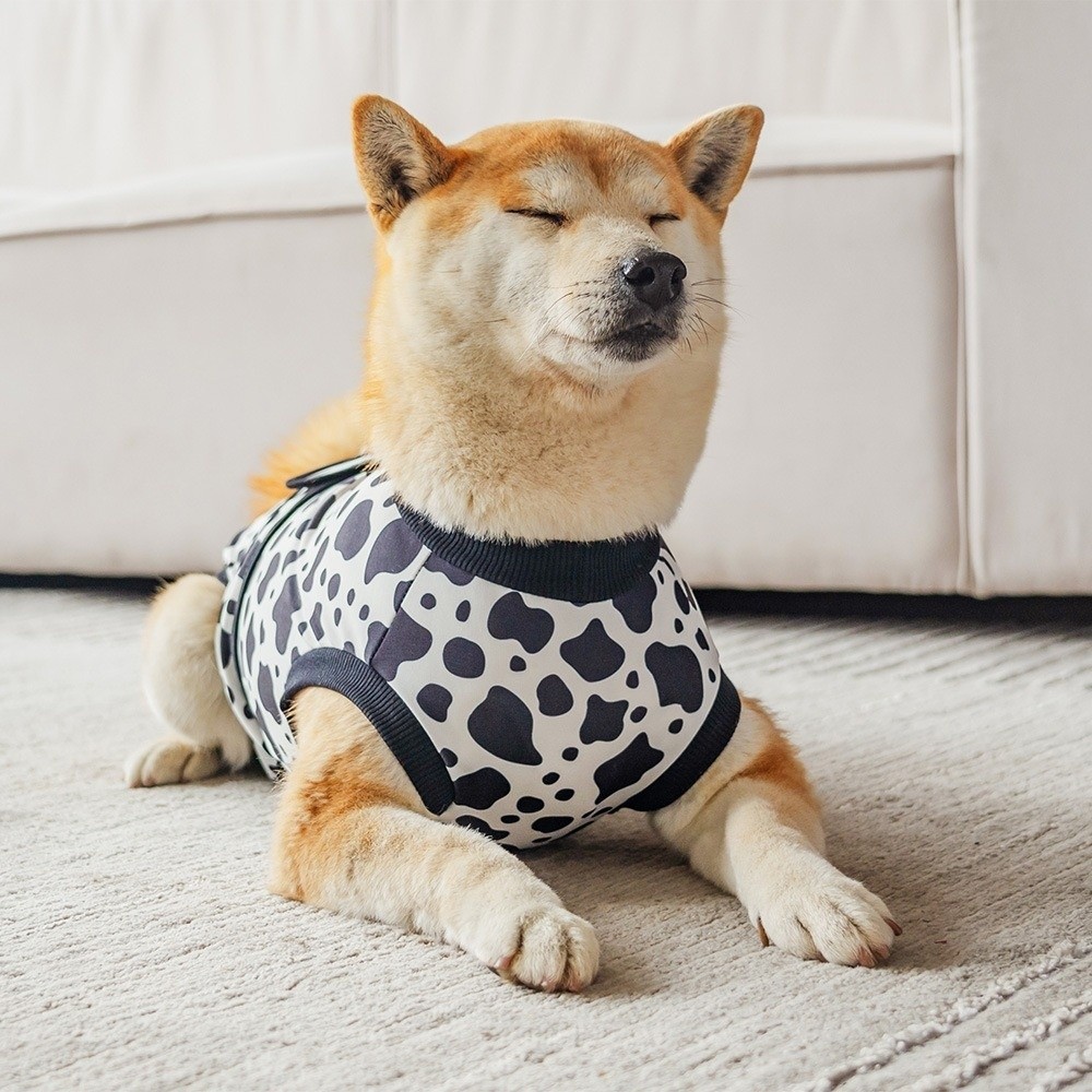 Универсальный дышащий костюм д – обзор и цена Dog Anxiety Vest