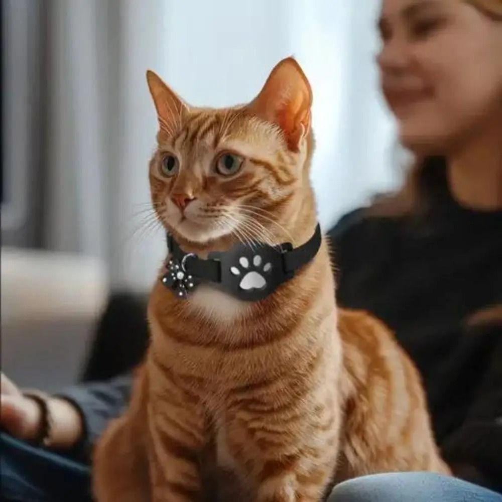 НОВЫЙ Светоотражающий ошейник  – обзор и цена Pet Supplies Locations