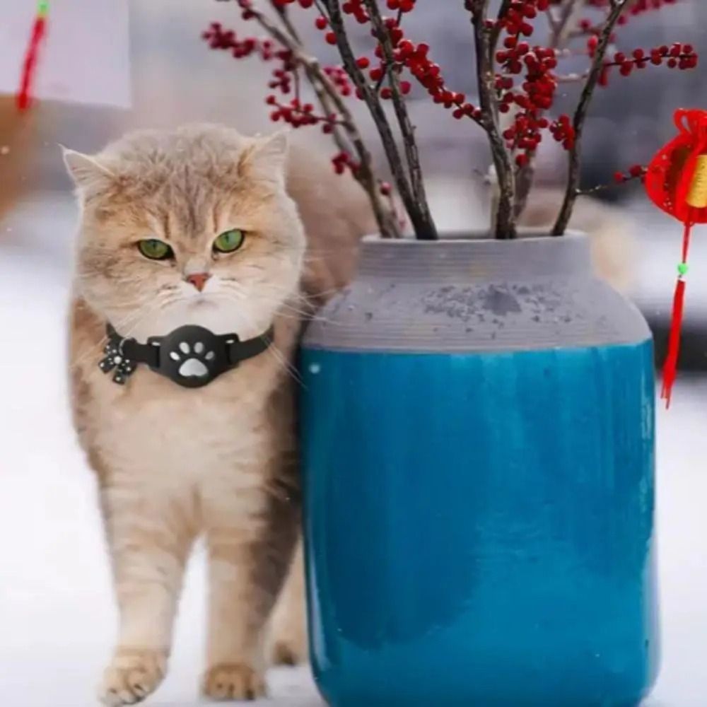 НОВЫЙ Светоотражающий ошейник  – обзор и цена Pet Supplies Locations