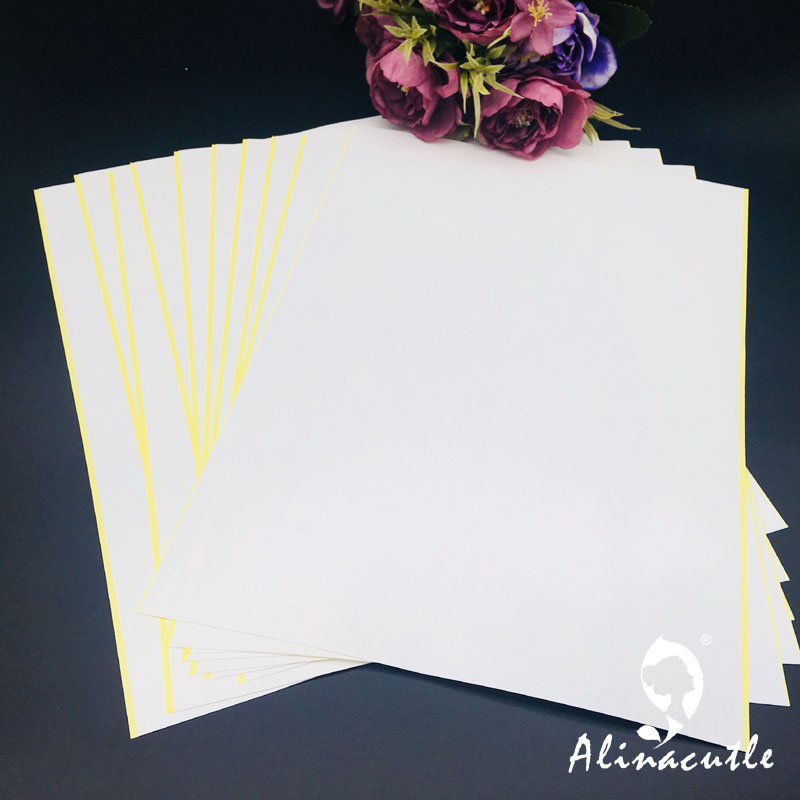 10 шт. X A4 двусторонняя лента – обзор и цена Pet X Supplies & Tack Howell Photos