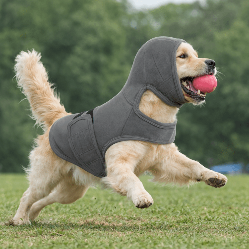 Эластичный успокаивающий жилет – обзор и цена Dog Anxiety Vest
