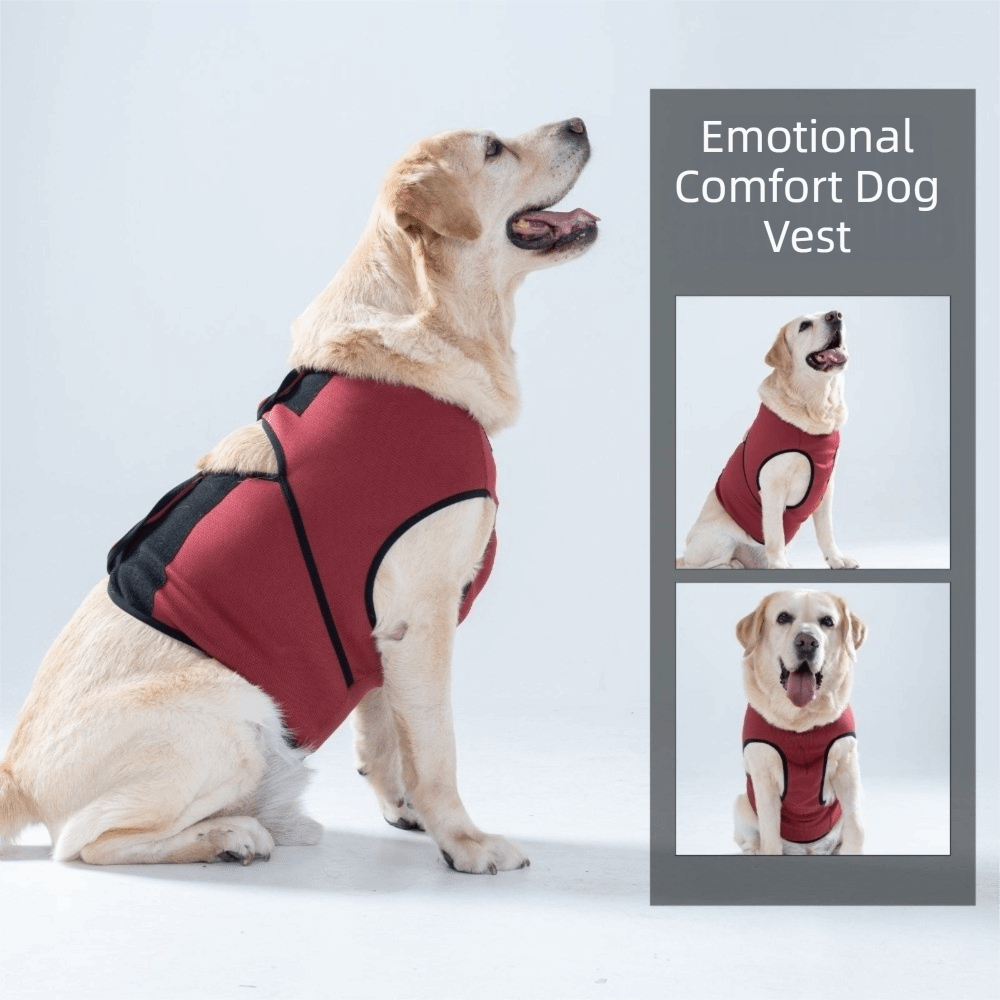 Дышащий успокаивающий жилет дл – обзор и цена Dog Anxiety Vest