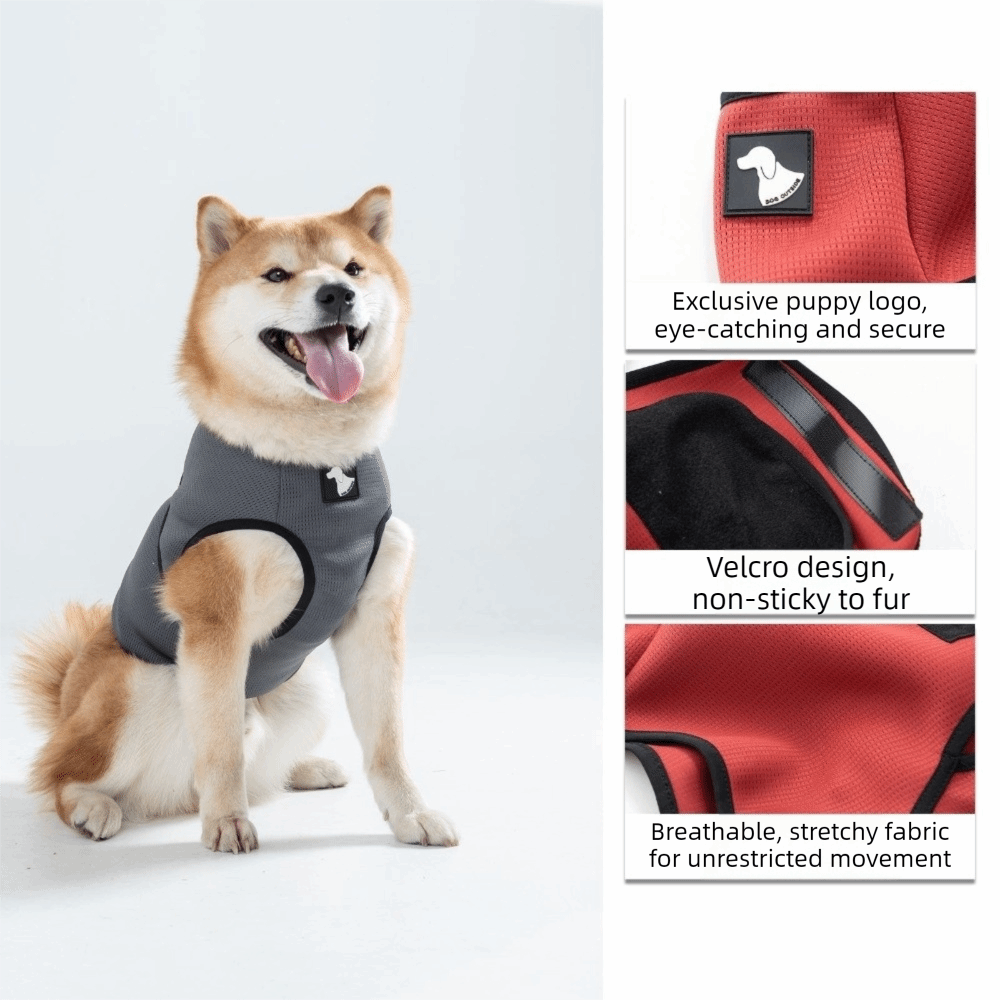 Дышащая успокаивающая жилетка  – обзор и цена Dog Anxiety Vest