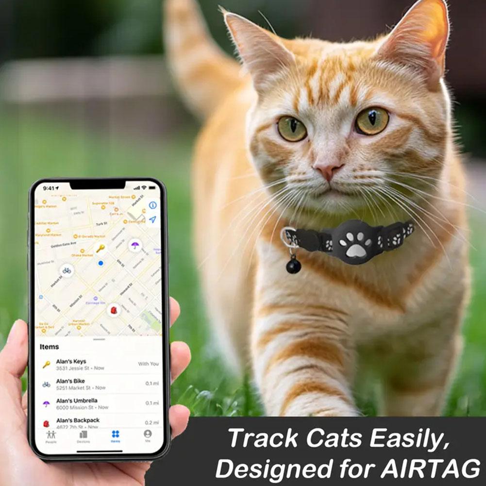 Креативный дизайн кошачьей лап – обзор и цена Pet Supplies Locations