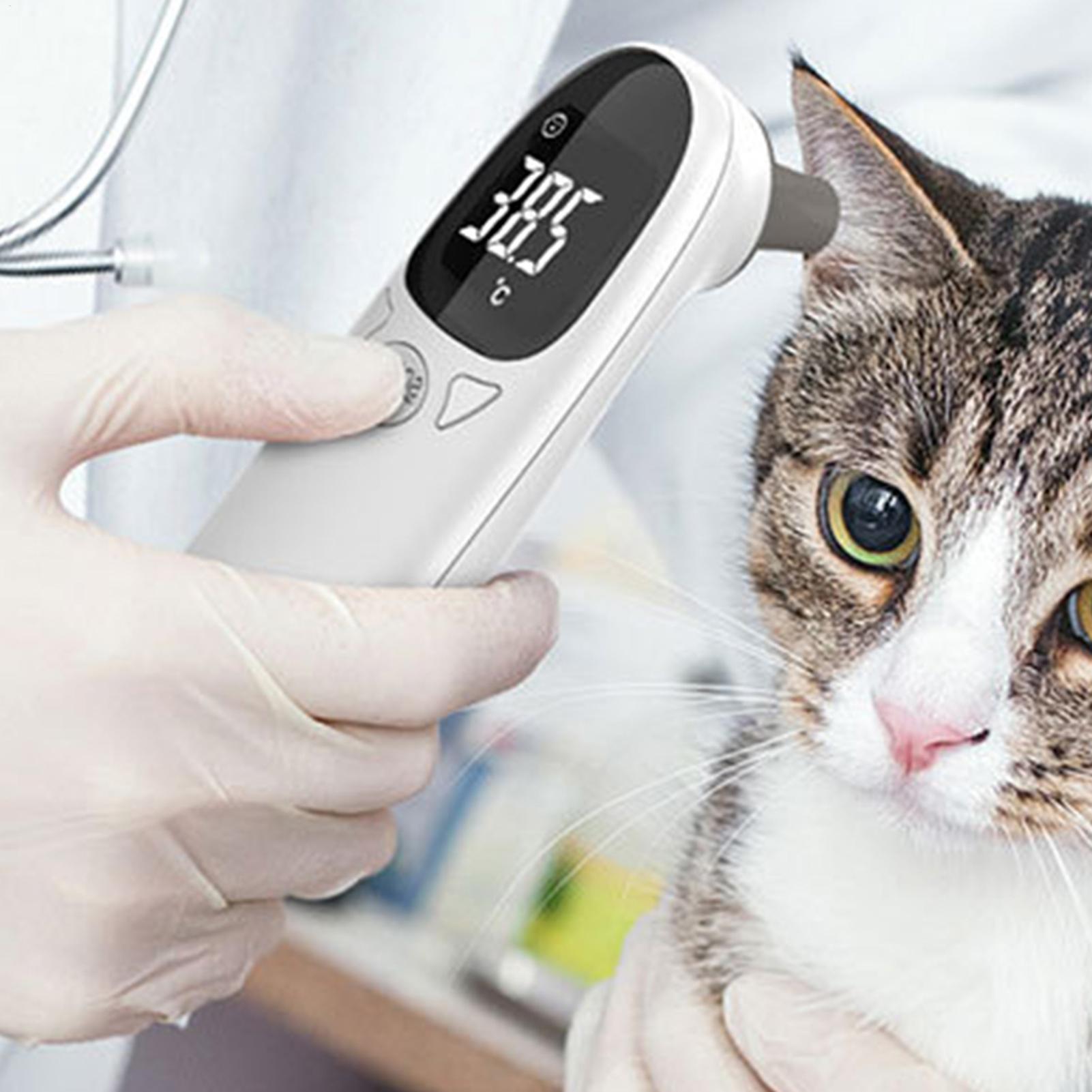 Электронный бесконтактный терм – обзор и цена Pet Supplies Vet