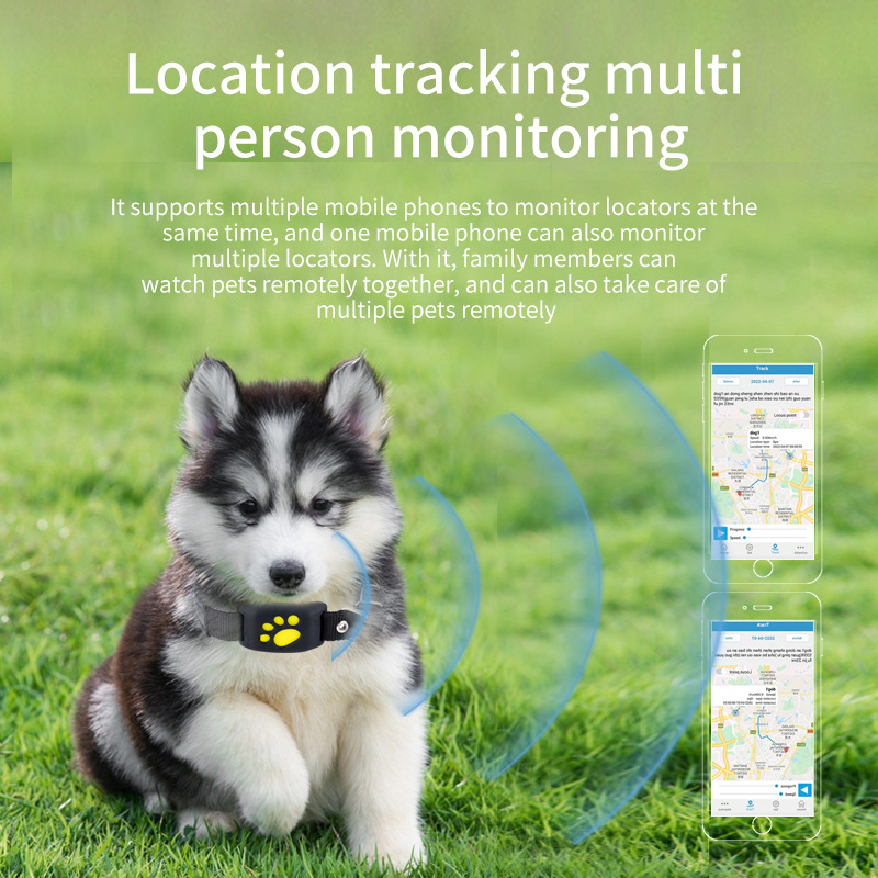 GPS-трекер для домашних животн – обзор и цена Pet Supplies Locations