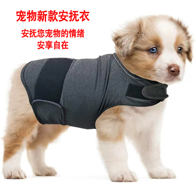 Спокойствующая жилетка для соб – обзор и цена Dog Anxiety Vest