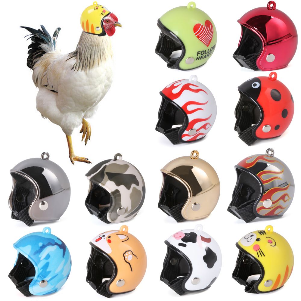 Забавная защитная шапка для до – обзор и цена Pet X Supplies & Tack Howell Photos