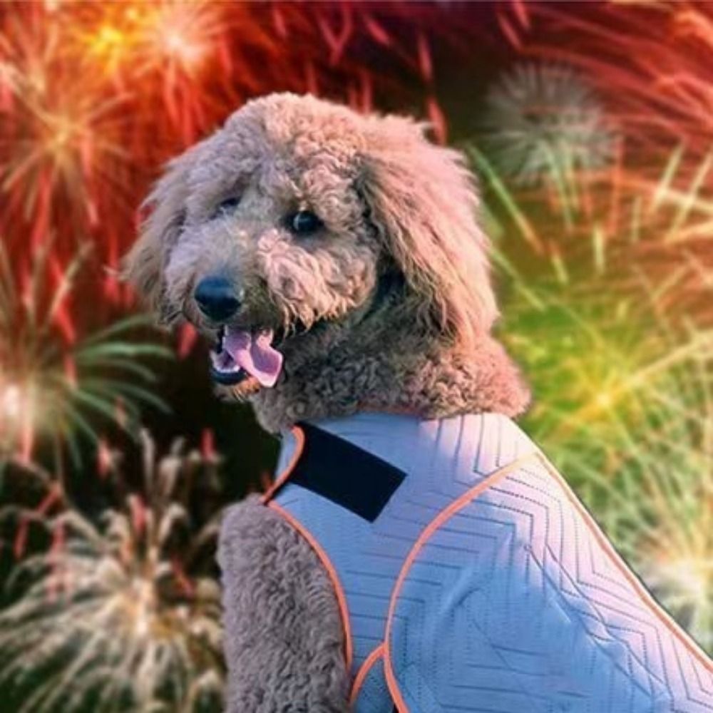 Практичный эластичный жилет дл – обзор и цена Dog Anxiety Vest