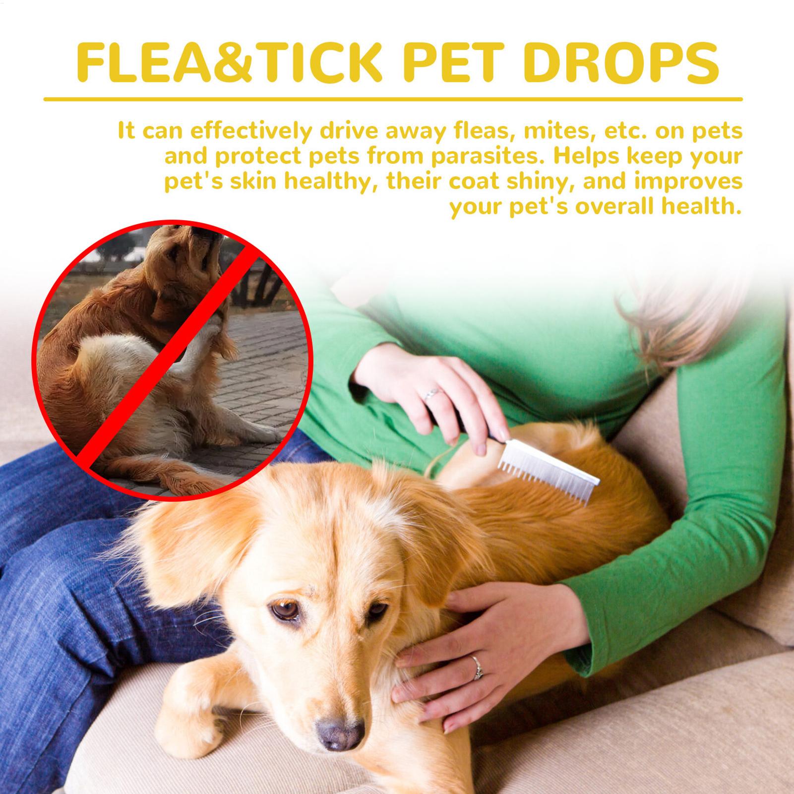 Капли от блох для кошек: удале – обзор и цена Pet Supplies Dropshipping