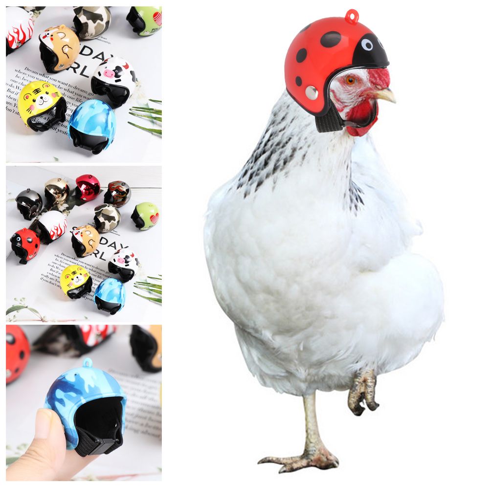 Забавные защитные головные убо – обзор и цена Pet X Supplies & Tack Howell Photos