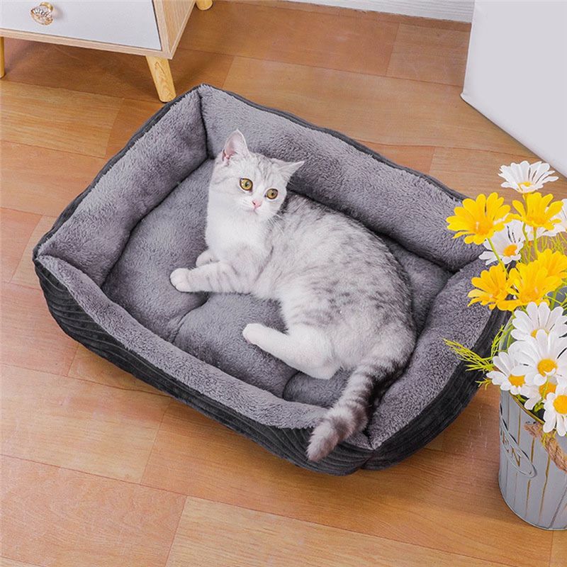 AEA9-Серый квадратный плюшевый – обзор и цена Pet X Supplies & Tack Howell Photos