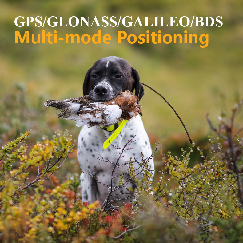 Глобальный GPS-трекер для живо – обзор и цена Pet Supplies Locations