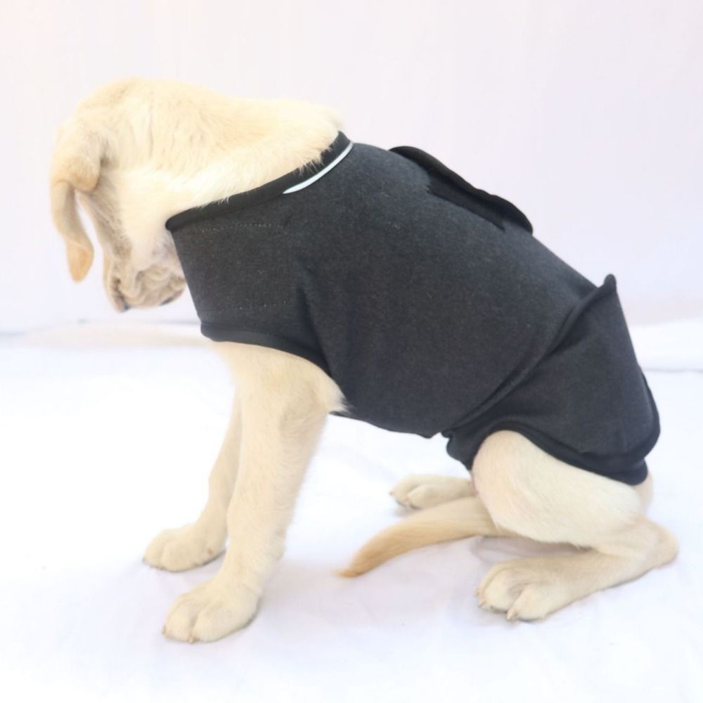 Теплый жилет для домашних живо – обзор и цена Dog Anxiety Vest