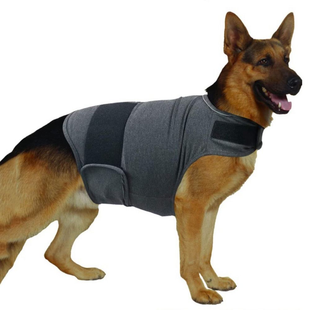 Теплый жилет для домашних живо – обзор и цена Dog Anxiety Vest
